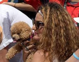 In Bianca Andreescu S Box A Four Legged Fan Is The Star The New York Times