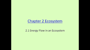 Science form 2 notes !! Kssm 2018 Science Form 2 Chapter 2 2 1 Youtube