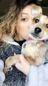 Fundraiser by Destiny Grace : Saving Copper from a deadly heart condition