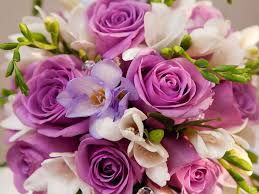 Check spelling or type a new query. Happy Birthday Flower Wallpapers Top Free Happy Birthday Flower Backgrounds Wallpaperaccess