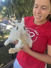 A&E Agenda: JAS June Experience, Aspen Ideas, and 'Steel Magnolias'