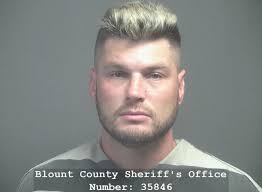 ESTES, CLAY AARON Charges: VIOLATION OF ORDER OF PROTECTION FAILURE TO  APPEAR TAMPERING WITH EVIDENCE SIMPLE POSS/CASUAL EXCHANGE (OTHER)  PROHIBITED WEAPON ACCIDENTS RESULTING IN DAMAGE TO VEHICLE Driving