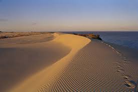 Картинки по запросу дюна эфа фото