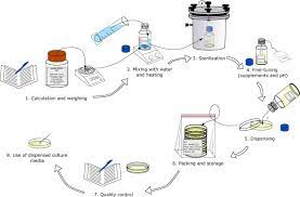 The significance of animal cell culture was increased when viruses were used to produce vaccines in simple terms, the site of opening is sterilized with 70% alcohol, tissues are removed and placed in different organs of animals can be cultured on artificial medium. Culture Media For Clinical Bacteriology In Low And Middle Income Countries Challenges Best Practices For Preparation And Recommendations For Improved Access Clinical Microbiology And Infection