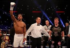 Joshua fighting for place in boxing history - Sportstar