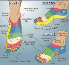 Foot Chart