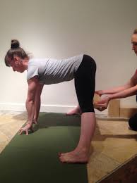 37 Awesome Prasarita Padottanasana Iyengar Yoga Class Iyengar Yoga Poses