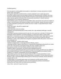 Droguri pentru tratamentul aciditatii gastrice in timpul sarcinii ». Calameo Aciditatea Gastrica