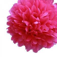 We did not find results for: Hot Pink Tissue Pom Pom Ruby Rabbit