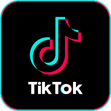 Tiktok Logo Png Images Free Download Pnggrid