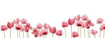 After that, add your text, and your twitter header is ready to download. Cover Fb Flower Facebook Cover Photos Flowers Facebook Background Facebook Cover Images