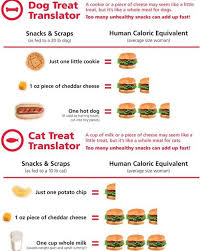 those calories really add up check out this chart how many of you are guilty here thatfishplace that human food animal nutrition overweight dog