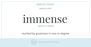 Word Of The Day Immense Word Of The Day Unusual Words Words