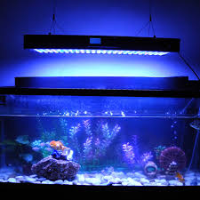 48 Inch Evergrow Led Light Aquarium It2080 99x3w Programmable Led Aquarium Light Buy 48 Inch Evergrow Led Light Aquarium Led Coral Reef Aquarium Lights 72 Inch Aquarium Led Lights Product On Alibaba Com