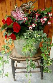 Outdoor flowers and plants online. How To Get Your Home Ready To Sell Frederick Real Estate Online Container Flowers Porch Flowers Container Gardening Flowers