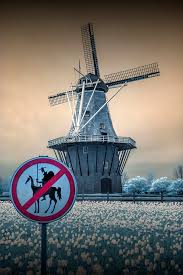 We did not find results for: No Tilting At Windmills Photograph By Randall Nyhof