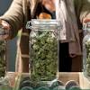 Story image for Vancouver Real Estate from RE/MAX News (press release) (blog)