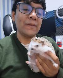 Bruce Morales (@elprofebruce) • Instagram photos and videos