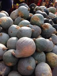 Plant both your summer and winter squash seeds in your summer garden. Baby Blue Hubbard Squash Winter Squash Recipes Pumpkin Squash Squash Recipes