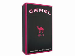 That is why camel no. Camel 9 Lou Perrine S