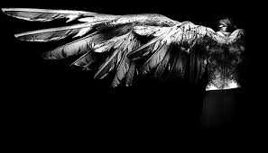 Black And White Angel Wings Aesthetic Angel Broken Black White Angel Fallen Angel Angels And Demons