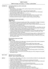 A good job description should include a company overview and job overview, as well as an explanation of the associated responsibilities, skills. Business Planning Manager Resume Samples Velvet Jobs