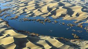 Starting with the han dynasty, the chinese periodically extended their control to the oasis cities of the taklamakan desert in order to control the important silk route trade across central asia. Carbon Tomb Buried Deep Under Chinese Desert Science Aaas