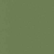 Image result for Dark Polo Green 2002 LeSabre