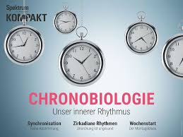 Gibt es äußere faktoren, die auf die chronobiologie des menschen wirken? Spektrum Kompakt Chronobiologie Innere Uhr Spektrum Der Wissenschaft