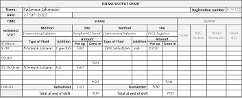 the intake output chart health care service delivery