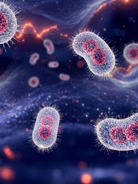 Doença viral Mpox: como se transmite, sintomas e tratamento