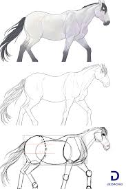 Comment Dessiner Un Cheval Comment Dessiner Un Cheval Dessin Cheval Dessin Cheval Facile