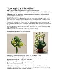 A bulb succulent with distinctive, corkscrew foliage that can be planted high in the soil with some of the bulb exposed. Albuca Frizzle Sizzle Albuca Spiralis Plants Plant Care Plant Sale