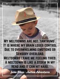 That Last Sentence Is All That Is Really Needed To Explain What A Meltdown Is Autism Therapies Autism Awareness Month Autism Activities