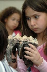 Base Primary School students explore scientific wonders > Mountain Home Air  Force Base > News & Photos/Videos