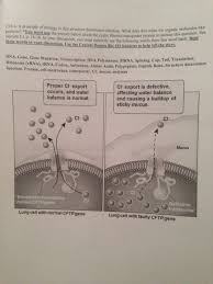 We did not find results for: Solved C10 4 A Principle Of Biology Is That Structure De Chegg Com