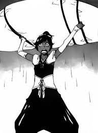 Do you guys think that the anime will explain what Yushiro was carrying  here? At the time I thought it was going to be either a Shihoin clan weapon  or Yoruichi's zanpakuto. :
