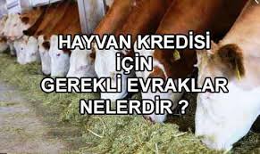 Hayvan Kredisi Almak Icin Gerekli Belgeler Yeni Talepler