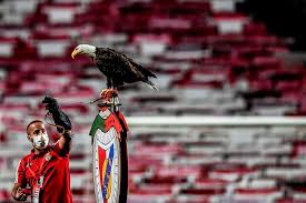 Benfica president resigns after tax fraud arrest. Afcb Official Club Website