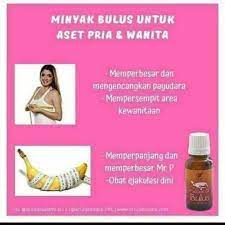 Untuk menggunakan minyak bulus maka oleskan minyak bulus ke bagian kulit yang gatal atau terkena koreng. Minyak Bulus Sr12 Pembesar Payudara Pembesar Mrp Durasi Tahan Lama Shopee Indonesia