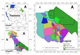 Image result for Neuracanthus africanus