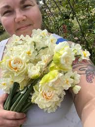 Why are my white daffodils yellow?