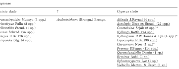 Image result for Alinula paradoxa