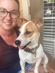 Agility classes for beginners in Murfreesboro area?