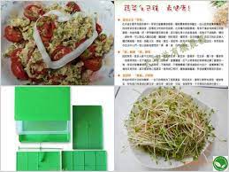 全自動有機芽菜機 有機芽菜箱 芽菜種子 蘿蔔蘡苜蓿芽蕃茄炒蛋 有機芽苗料理分享 蘿蔔 蘿蔔籽 蘿蔔嬰料理 葉蘿蔔料理 蘿蔔籽茶 葉用蘿 sprouts food cabbage