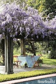 Carolyn Platts (carolynplatts)