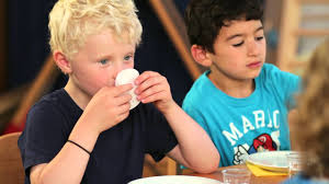 Naturwissenschaften Mit Fred Finken Verlag Exklusiv Bei Sandner Lernen