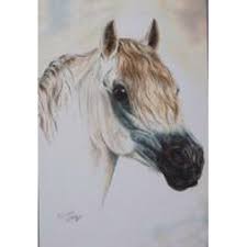 The four sections within the breed society for the welsh breeds are primarily distinguished by height. Horse Postcard Welsh Pony Rabbiner Modellpferdeversand De 1 50