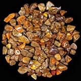 Where Is Amber Found? | Ancient Carved Ambers in the J. Paul ...