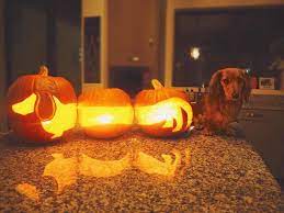 10 Dog Inspired Halloween Pumpkins Cesar S Way